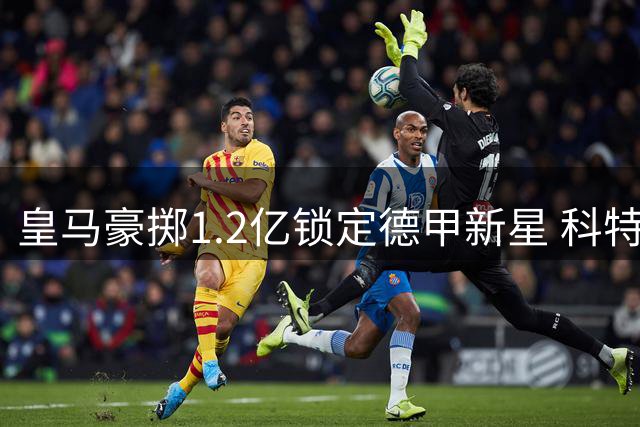 皇马豪掷1.2亿锁定德甲新星 科特迪瓦天才或成伯纳乌新宠